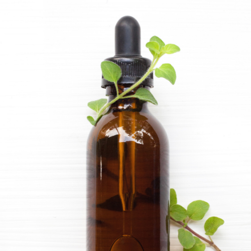 Oregano Oil in Bottle