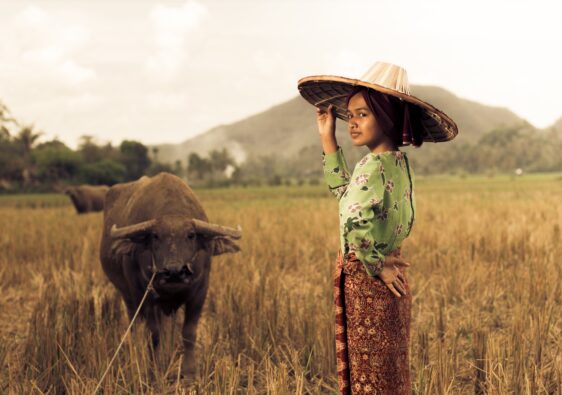 Tamaraw Bull and Filipina Standing in a Field