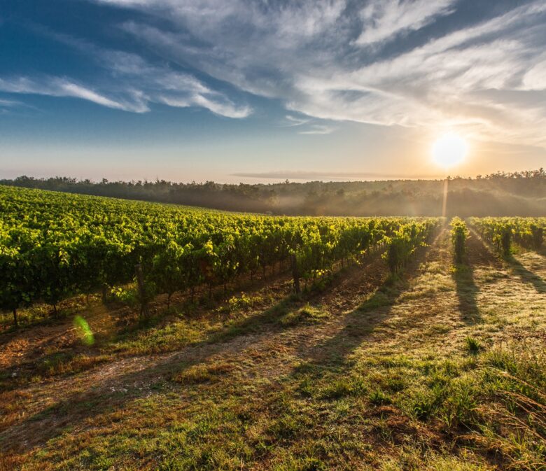 farm sunset