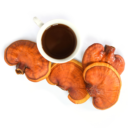 Reishi Mushroom Herb Brown