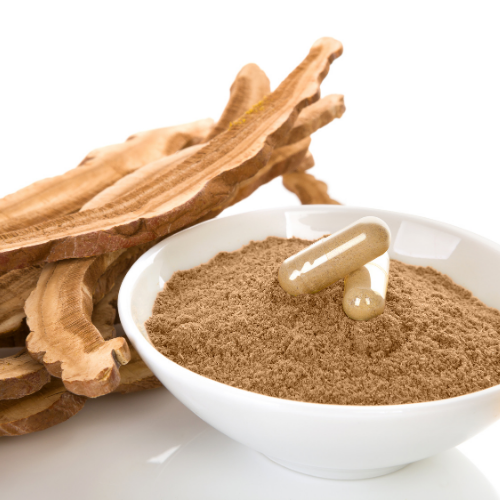 Reishi Capsules with Reishi Powder in a bowl and Dried Reishi Mushroom