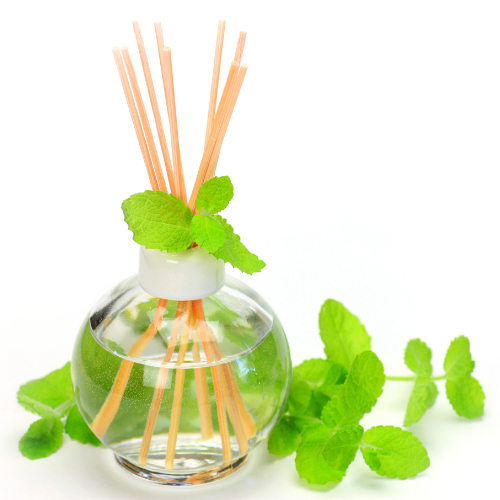 Herb Diffuser with oregano leaves