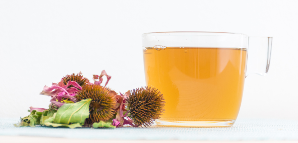 Echinacea Immunity Water 