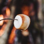 roasting marshmallow fire