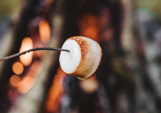 roasting marshmallow fire