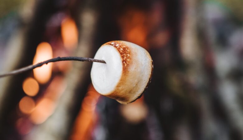 roasting marshmallow fire